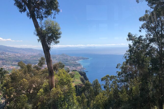 Full day West Adventure Jeep Tour in Madeira Portugal - Posto Florestal Fanal: Century-Old Trees and a Short Walk