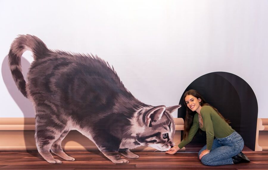 Funchal: 3D Fun Art Museum - Safari, Dinosaurs, and the Upside-Down Zone