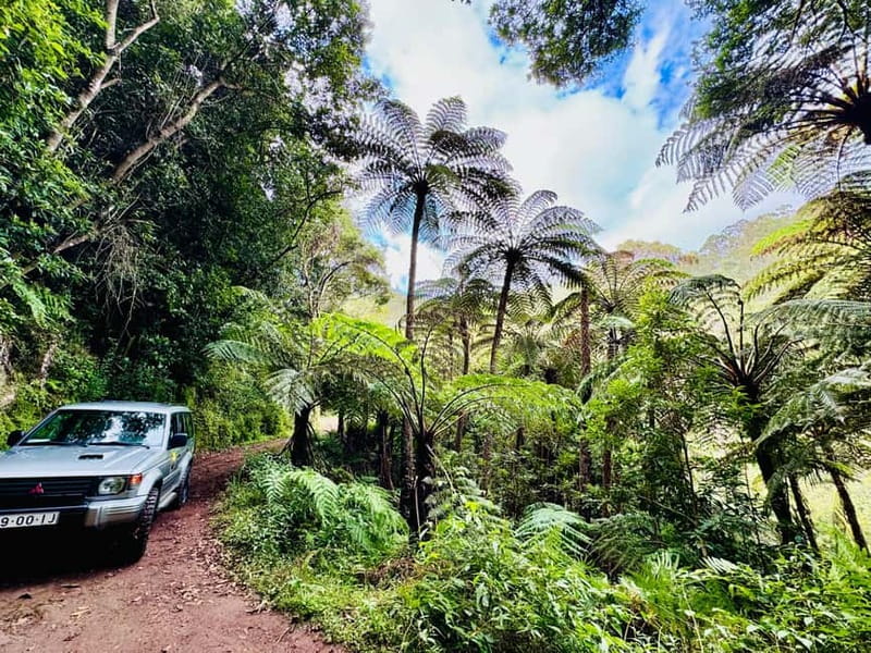 Funchal: 4x4 Jeep Trip to the East and Northeast of Madeira - Why This 4x4 Tour Makes Sense for East Madeira