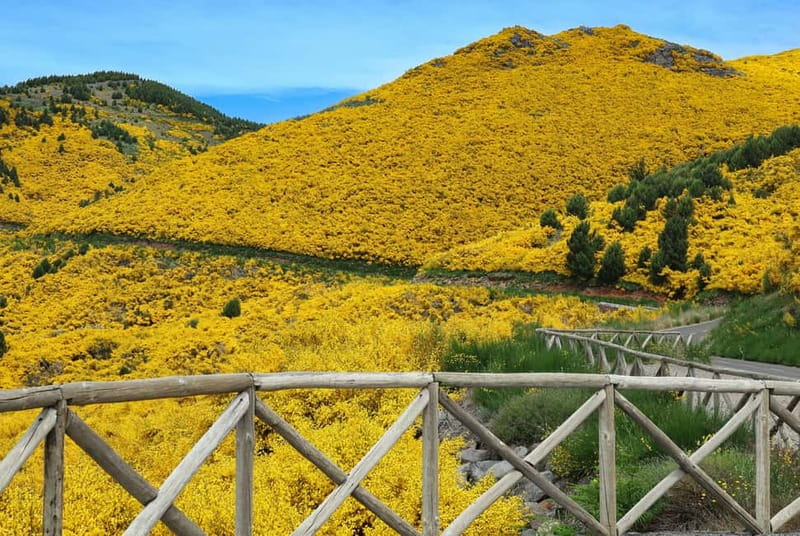 Funchal: 4x4 Jeep Trip to the East and Northeast of Madeira - Ribeiro Frio and the Levada Walk Option (and What to Budget)