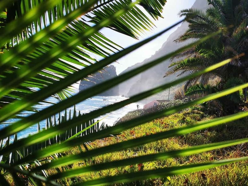 Funchal: 4x4 Jeep Trip to the East and Northeast of Madeira - Lombo Galego and Off-Road Feel: Where the Jeep Tour Earns Its Name