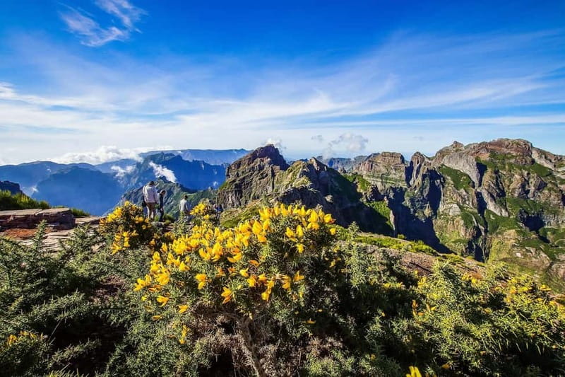 Funchal: 4x4 Jeep Trip to the East and Northeast of Madeira - From Funchal to the Viewpoints: Paredão and the Road Up