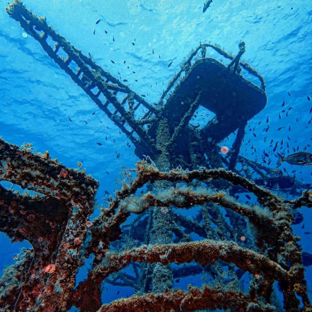 Funchal: Advanced Scuba Diving Afonso Cerqueira Wreck - Key Highlights You’ll Actually Care About