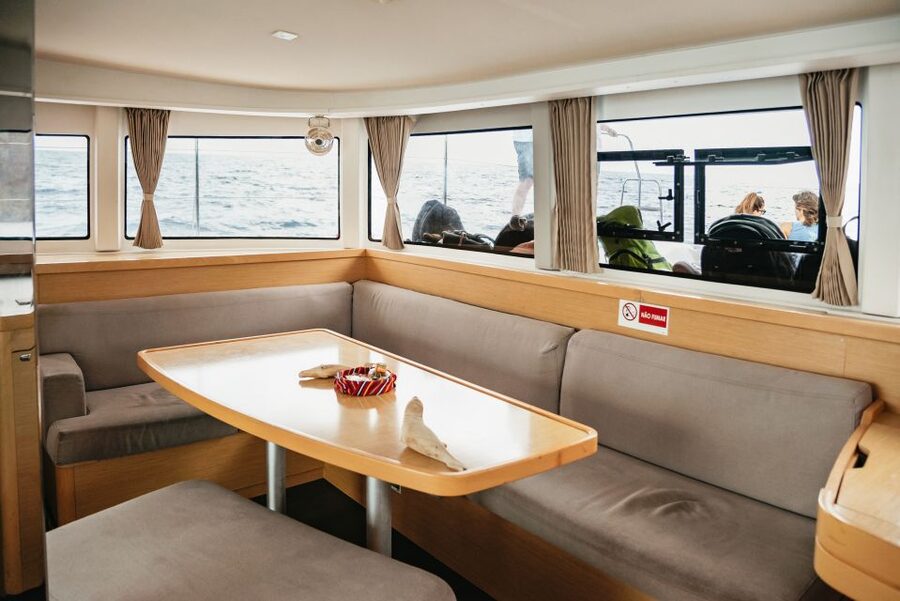 Funchal Bay: Dolphin & Whale Watch Luxury Catamaran Cruise - Price and value: is $47 worth it?