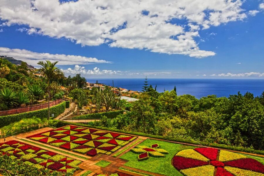 Funchal: Botanical Garden and Old Town Private Tuk-Tuk Tour - Key Things to Love About This Funchal Tuk-Tuk Tour