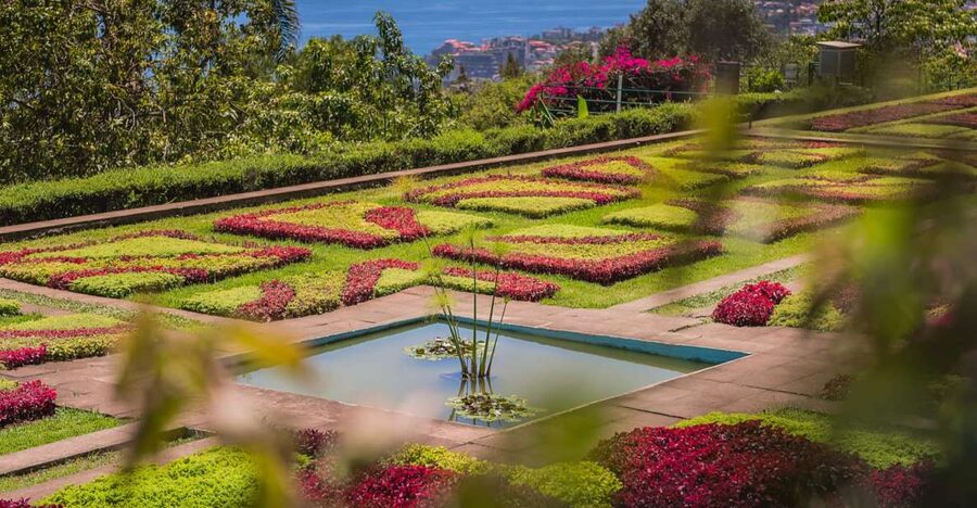 Funchal: Botanical Garden and Old Town Private Tuk-Tuk Tour - Zona Velha Old Town: Cobblestones, Chapel History, and Tight Alley Views