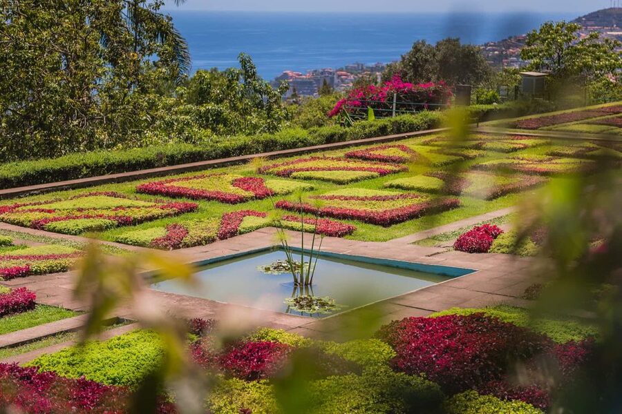 Funchal: Botanical Garden and Old Town Private Tuk-Tuk Tour - Pickup Inside Funchal (and Cruise Terminal) Makes It Feel Effortless