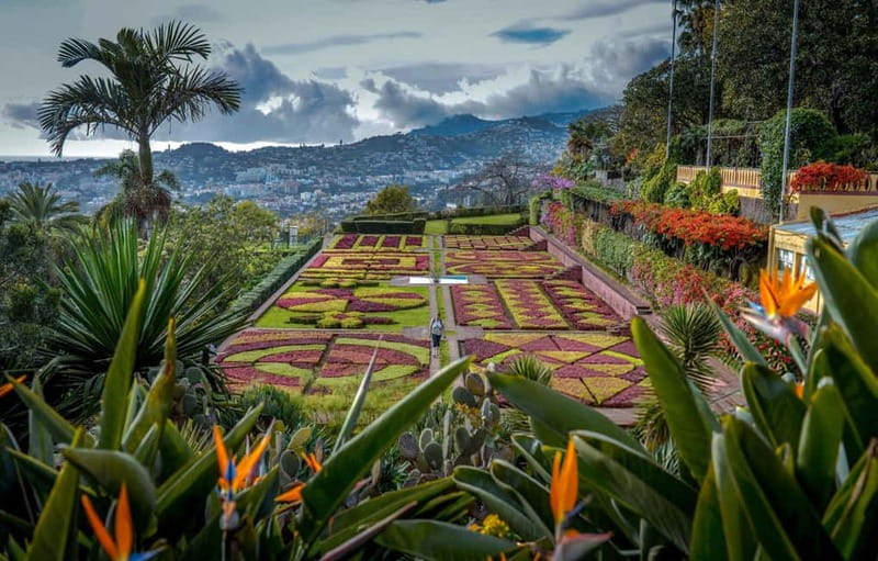 Funchal: Botanical Garden & Old Town Tour by TukTuk (1h45) - Key things to know before you go
