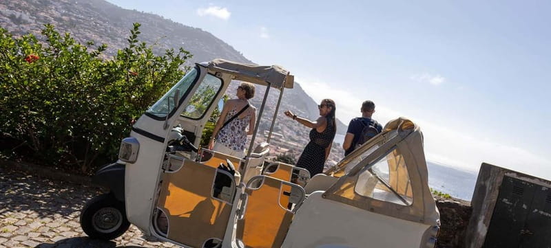 Funchal: Botanical Garden & Old Town Tour by TukTuk (1h45) - Weather on Madeira: how to protect your garden hour