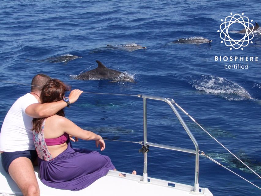 Funchal: Cabo Girão, Wines Tasting and Dolphins Watching - Boca dos Namorados: the high start over Funchal’s bay