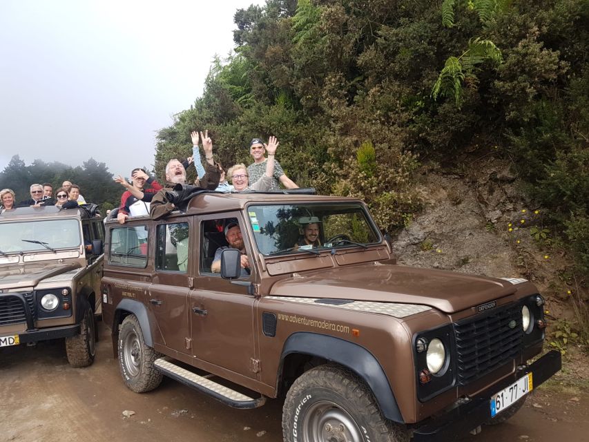 Funchal: Cabo Girão, Wines Tasting and Dolphins Watching - Marina time and a 3-hour catamaran: dolphins, whales, and the crew’s info