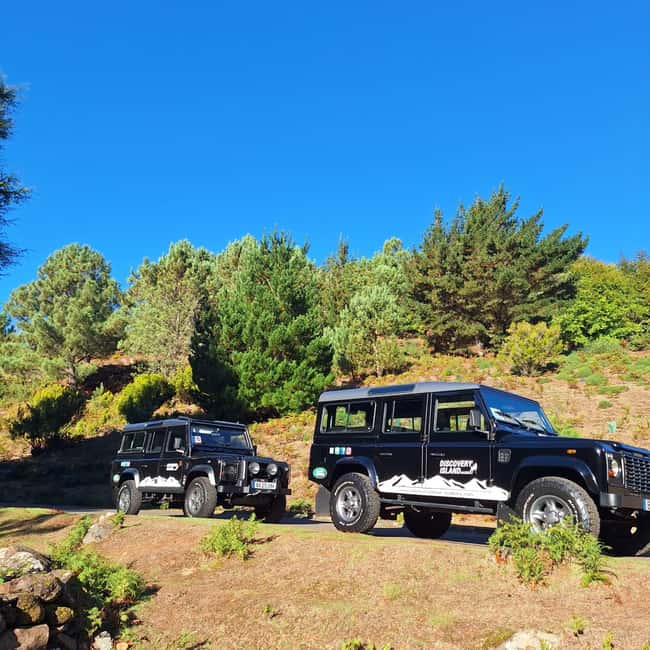 Funchal: Câmara Lobos & Girão Sea Cliff Half-Day Jeep Tour - Why this Madeira half-day jeep loop is great value
