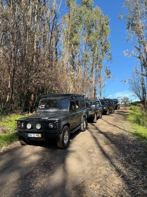 Funchal: Câmara Lobos & Girão Sea Cliff Half-Day Jeep Tour - The secret off-road adventure, and why it is worth the bumpiness