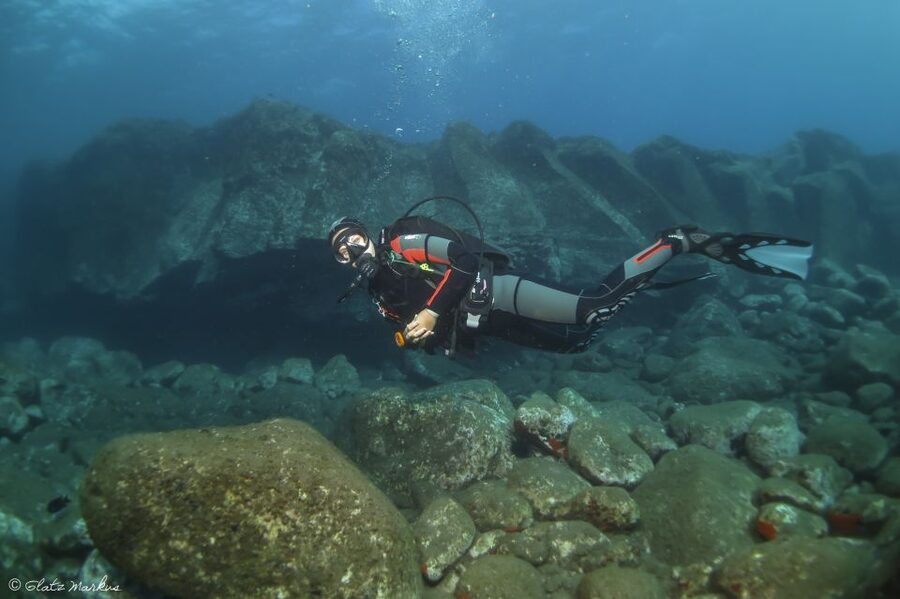 Funchal: Certified Scuba Diving, Guided Tour - Key Points You’ll Care About