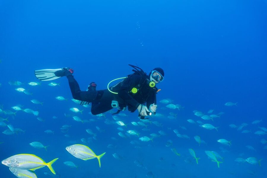 Funchal: Certified Scuba Diving, Guided Tour - UW Scooter Time, When You Stop Just Kicking