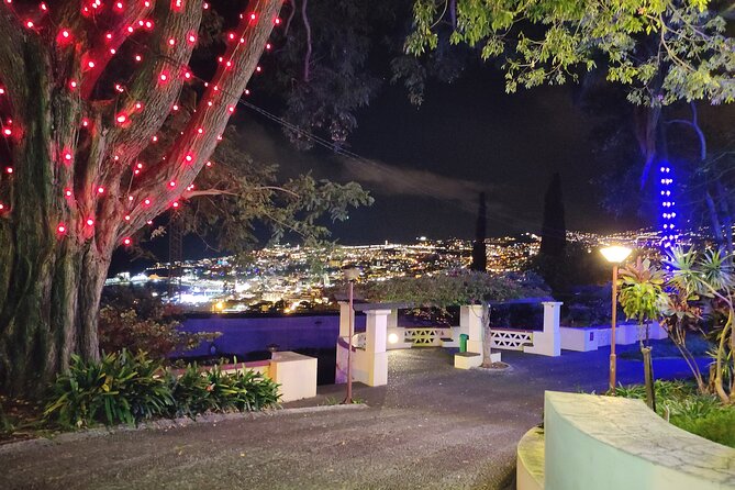 Funchal: Christmas Lights Sightseeing Night Tour - Your Driver and Guide: English, Portuguese, and Real Local Color