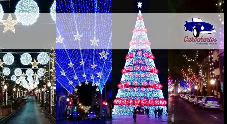 Funchal: Christmas Lights Sightseeing Night Tour - Price and Value: Why This $41 Tour Makes Sense