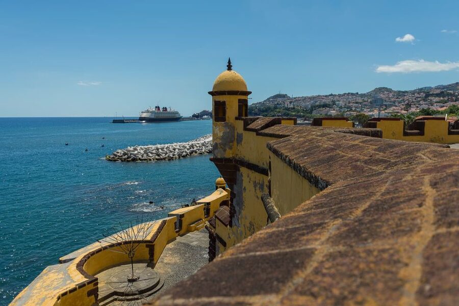 Funchal: City Highlights Tuk-Tuk Tour - Farmers market break: local produce and snack time