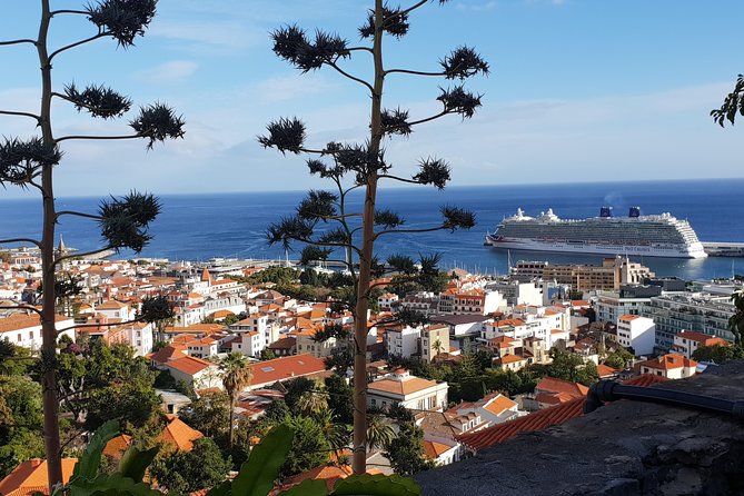 Funchal City Tour + Old Town - The Old Town Core: Museum, Cathedral, and the Market of Madeira