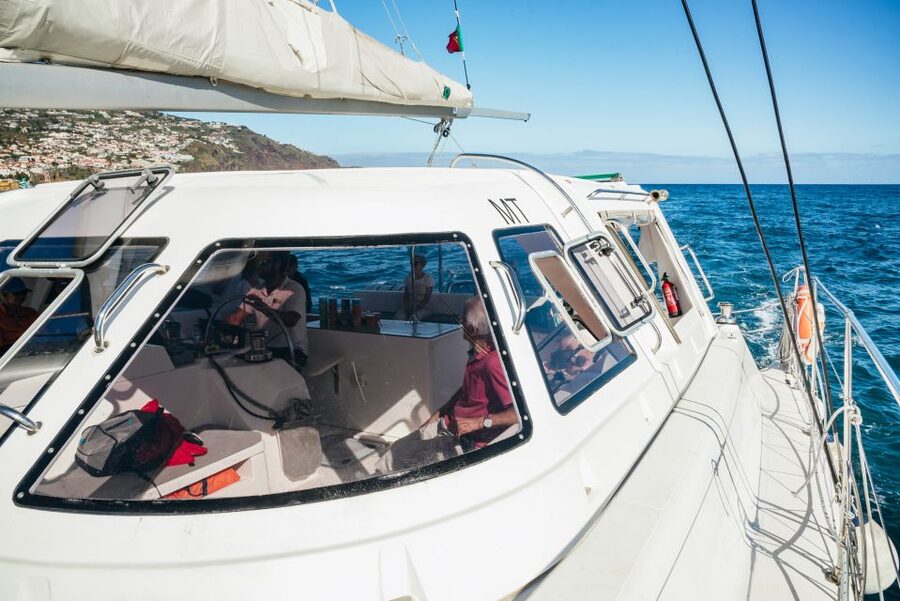 Funchal: Dolphin and Whale Watching by Luxury Catamaran - Setting out from Funchal Marina, with the right kind of comfort