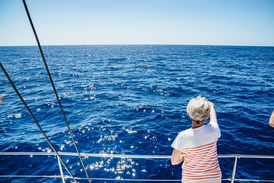Funchal: Dolphin and Whale Watching by Luxury Catamaran - Cruising the bay near Funchal, and what the crew actually points out