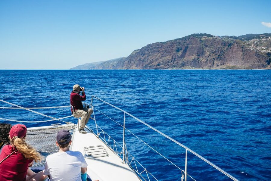 Funchal: Dolphin and Whale Watching by Luxury Catamaran - Cabo Girão: the stop that gives you both views and water time