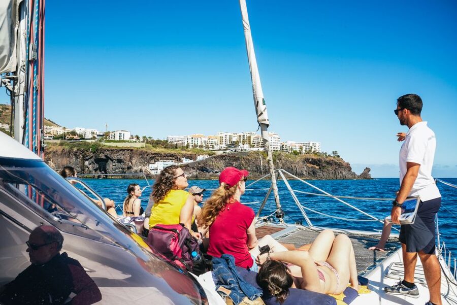 Funchal: Dolphin and Whale Watching by Luxury Catamaran - Getting the most out of onboard comfort and photo time