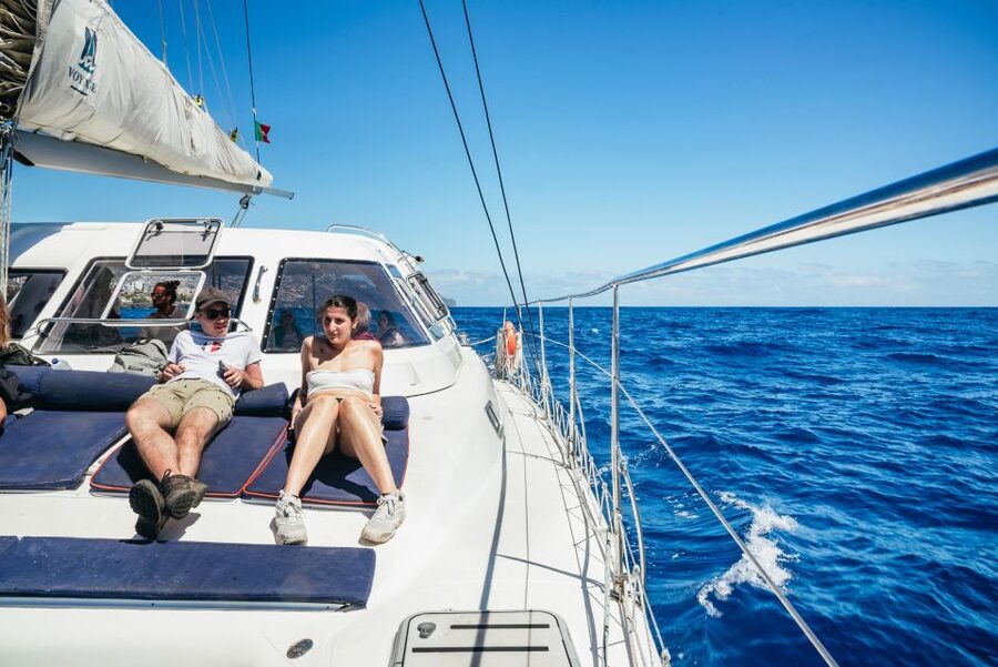 Funchal: Dolphin and Whale Watching by Luxury Catamaran - The $47 value, and what you are really paying for