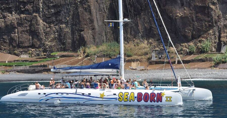 Funchal: Dolphin and Whale Watching Catamaran Cruise - Price and value: is $41 for three hours a good deal?