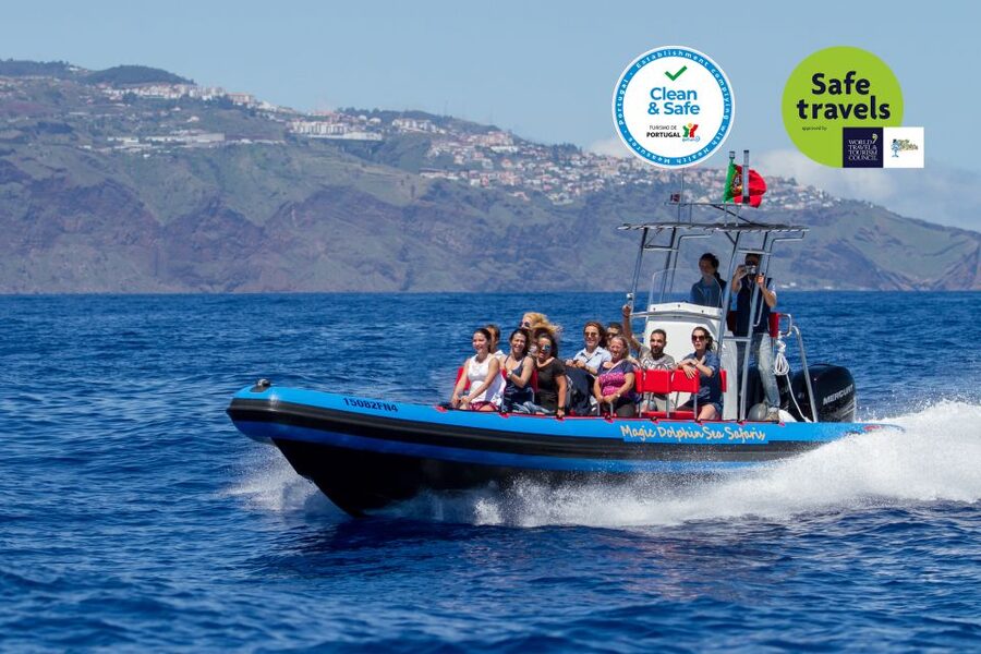 Funchal: Dolphin and Whale Watching Cruise - From Magic Dolphin to offshore: what the first part feels like