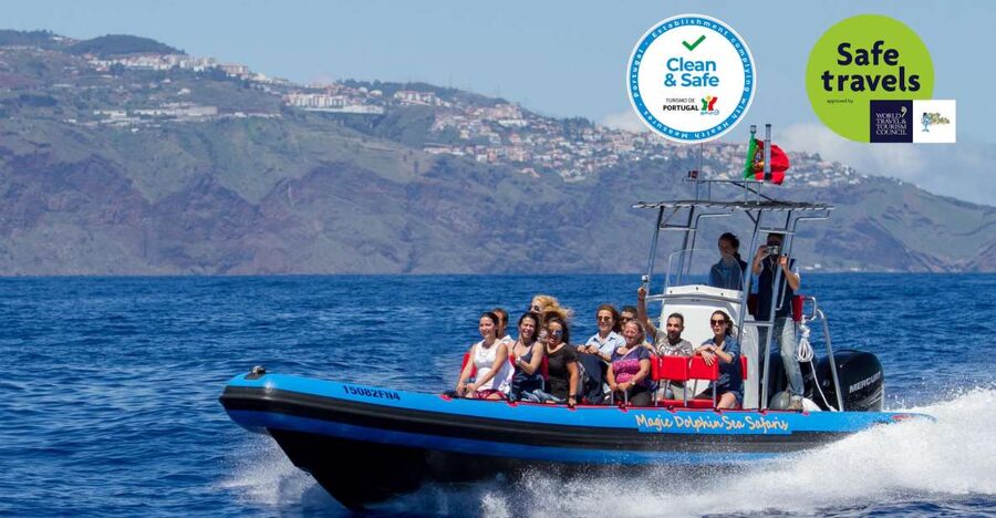 Funchal: Dolphin and Whale Watching Cruise - What close-up viewing really means, and how you should think about it