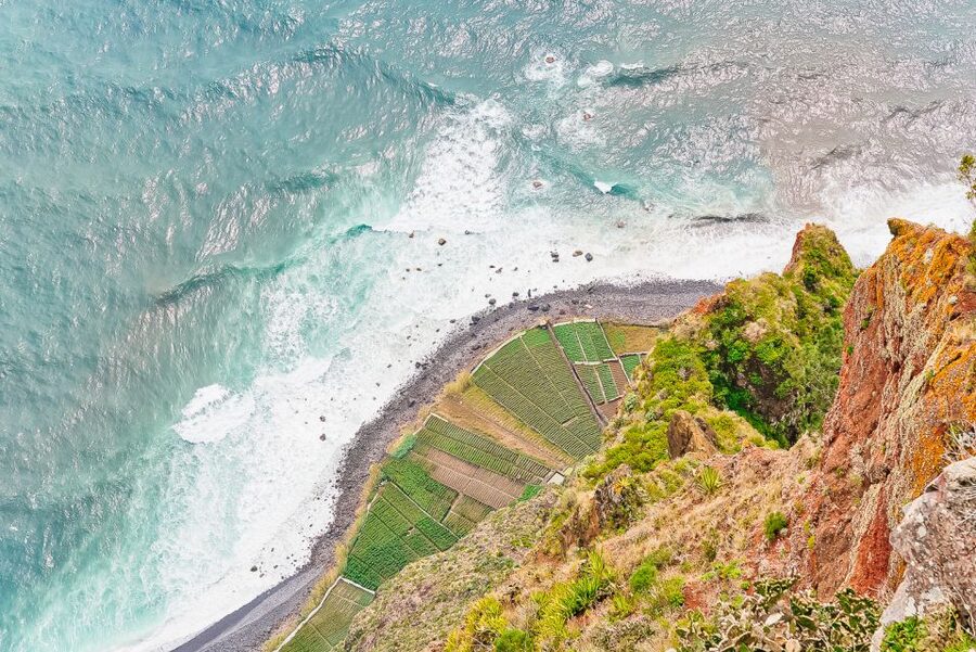 Funchal: Dolphin and Whale Watching Sailing Trip - Key Things That Make This Trip Worth Your Time
