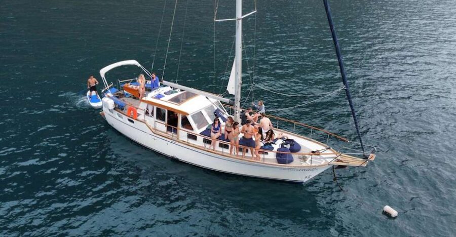Funchal: Dolphin and Whale Watching Sailing Trip - From Funchal Marina Out to Real Open Water