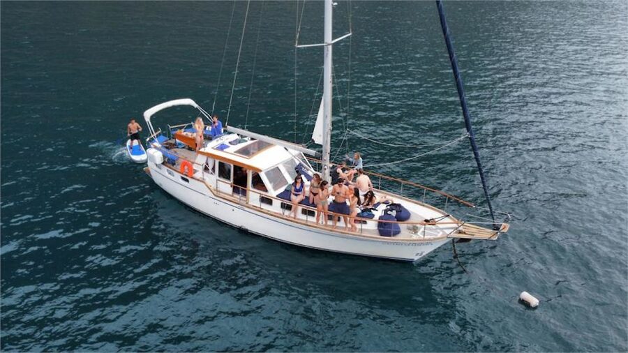 Funchal: Dolphin and Whale Watching Sailing Trip - On Board With Gaviao Madeira: What’s Included and What You’ll Notice