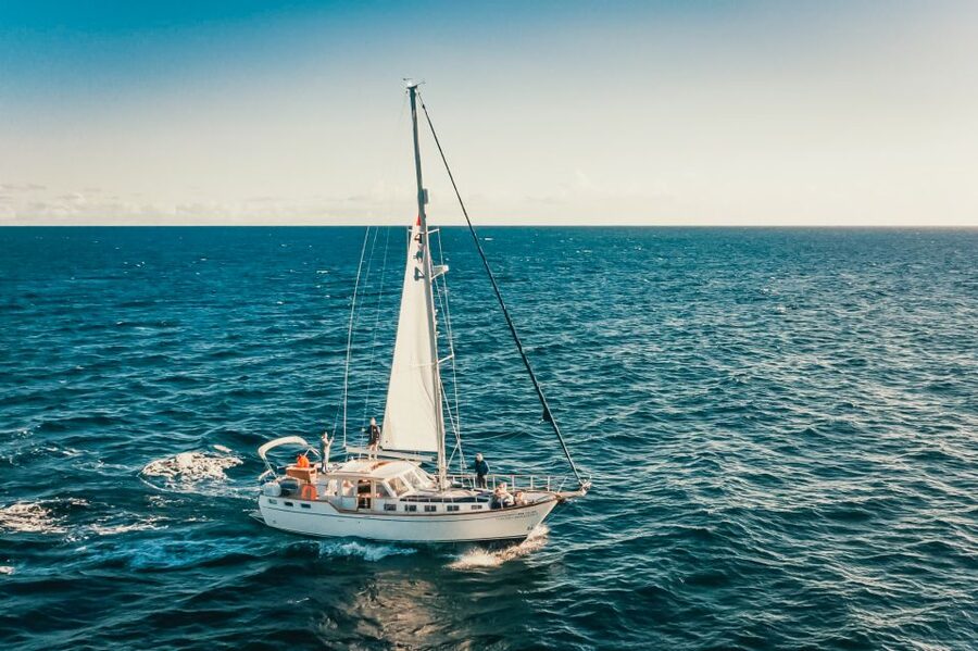 Funchal: Dolphin and Whale Watching Sailing Trip - Wildlife Watching Up to 3 Miles Offshore, Without the Stress