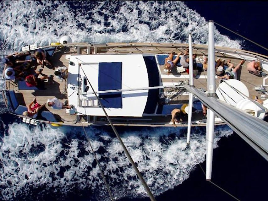 Funchal: Dolphin and Whale Watching Sailing Trip - What to Bring (So You Actually Enjoy the Swim Stop)