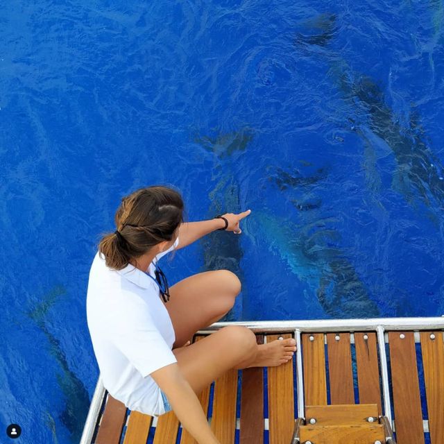 Funchal: Dolphin and Whale Watching Sailing Trip - Where to Meet: Praça do Povo, Cais 8 (Kiosk Gavião Madeira)