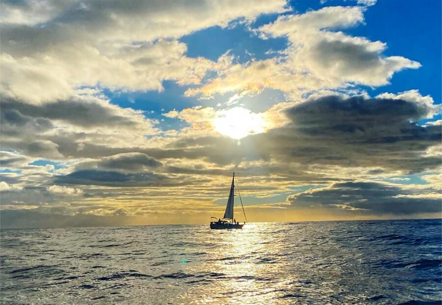 Funchal: Dolphin and Whale Watching Sunset Sailing Tour - What to Bring (and the Shoes-Off Rule That Catches People)
