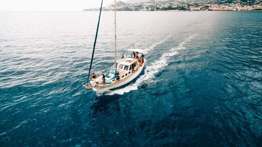 Funchal: Dolphin and Whale Watching Sunset Sailing Tour - Who This Tour Suits Best (and Who Should Pick Something Else)