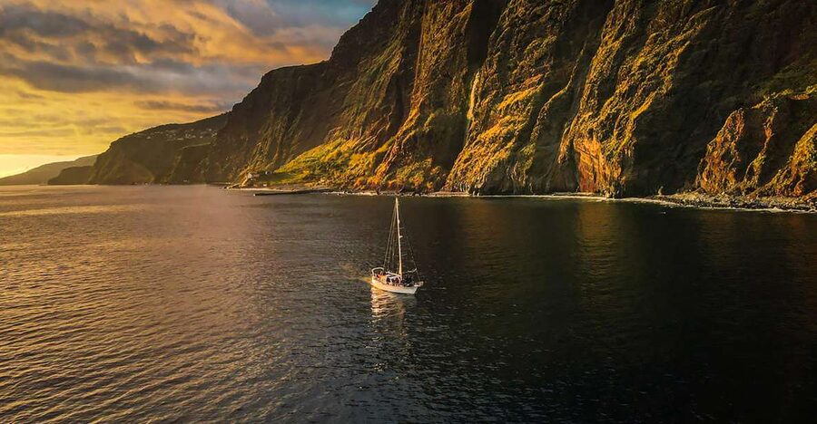 Funchal: Dolphin and Whale Watching Sunset Sailing Tour - The 3-Mile Wildlife Search: Dolphins, Whales, and Sea Turtles (If You’re Lucky)