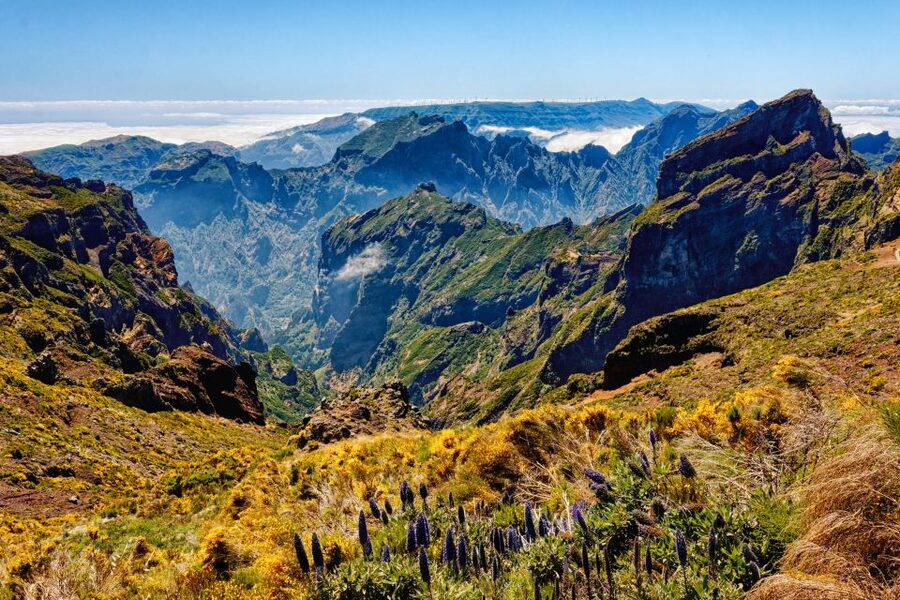 Funchal: East Madeira Island Guided Tour & Laurissilva Walk - Ribeiro Frio lunch break plus a Levada walk to a real payoff