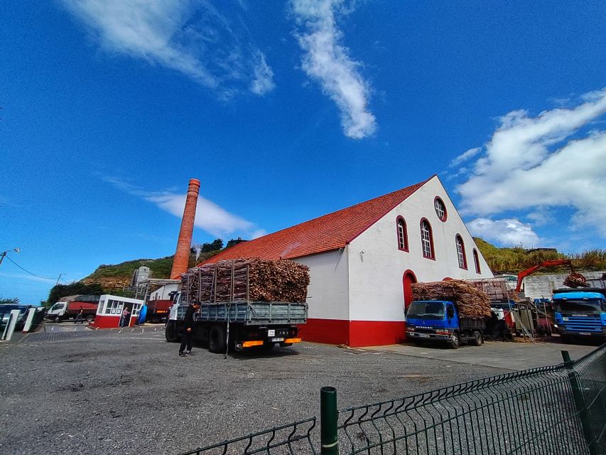 Funchal: East Madeira Island Guided Tour & Laurissilva Walk - Trout nursery option, if you want the forest without the hike