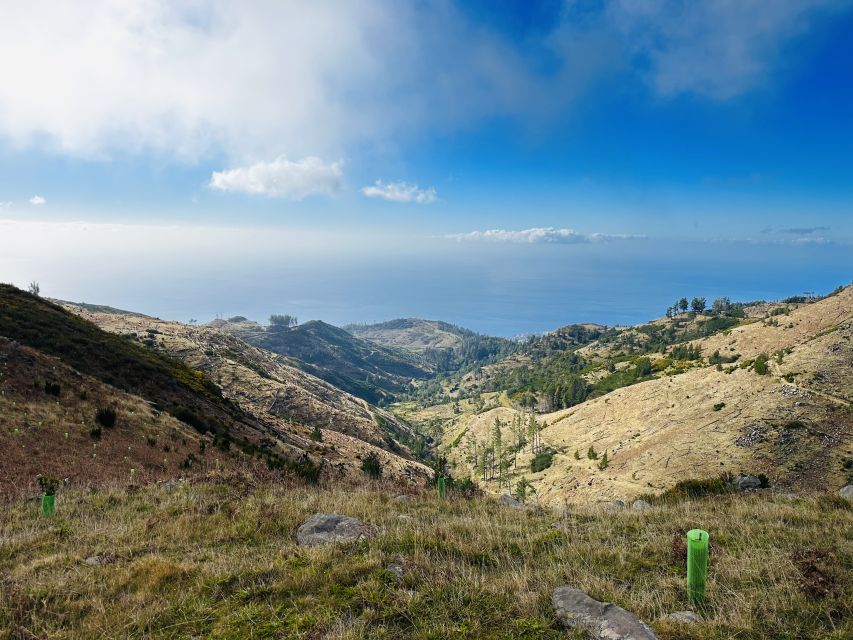 Funchal: East Madeira Island Guided Tour & Laurissilva Walk - Porto da Cruz, North Mills Distillery, and a free rum taste