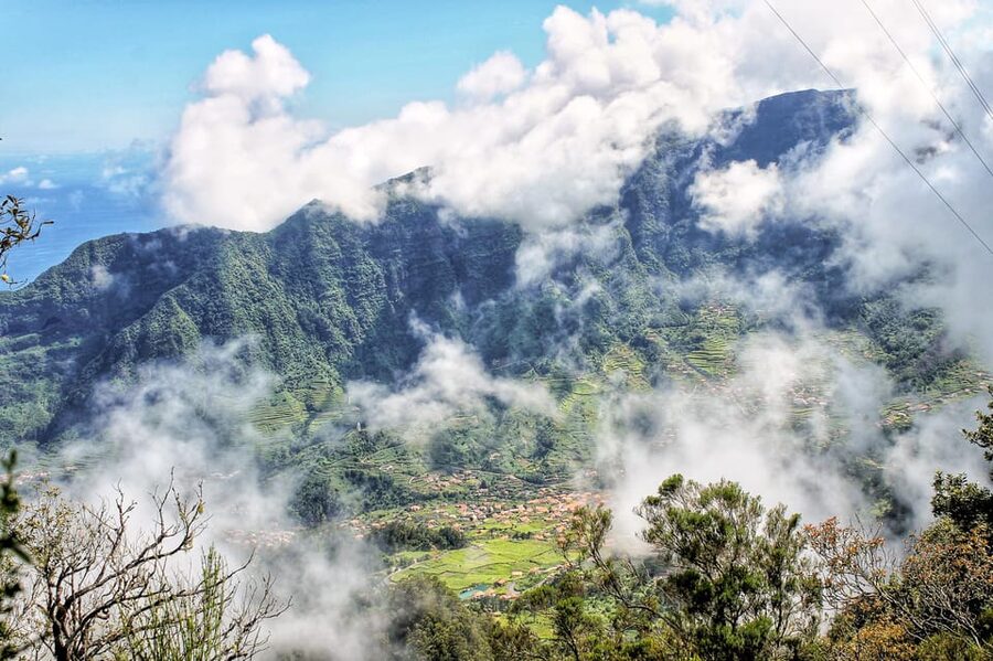 Funchal: Enchanted Terraces, Porto do Moniz & Fanal 4WD Tour - Fanal Forest and the Laurissilva Experience You Can Walk Through