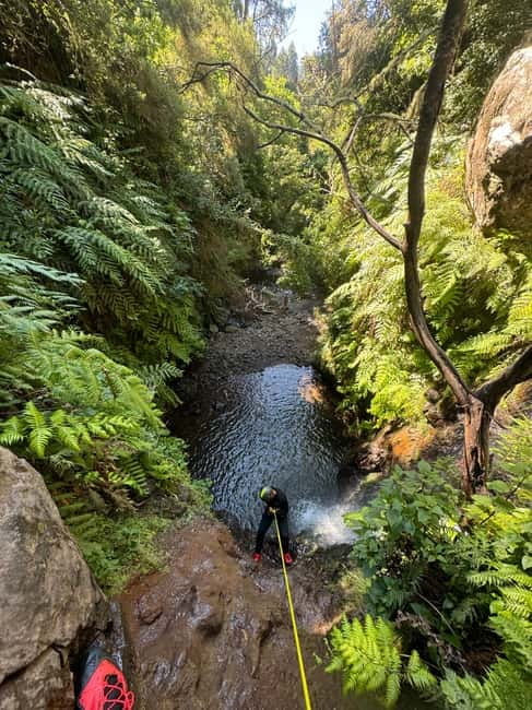 Funchal: Explore Canyoning Level 1 Rochão - Caminho do Rochão in plain language: abseils, jumps, and water you actually feel