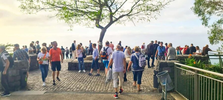 Funchal: Family Madeira Island Tour - A family-friendly way to see Madeira from Funchal