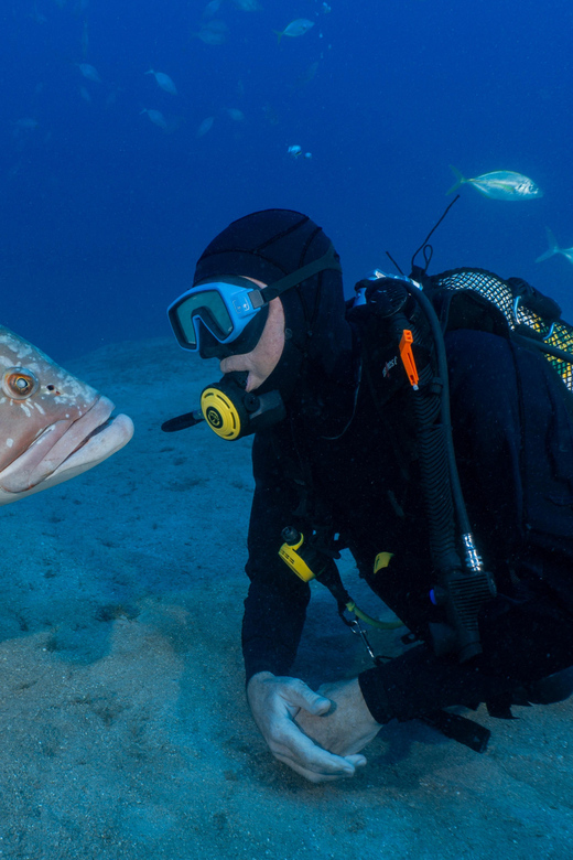 Funchal: Garajau national park - certified divers - Boat ride from Funchal: the part that quietly improves your odds