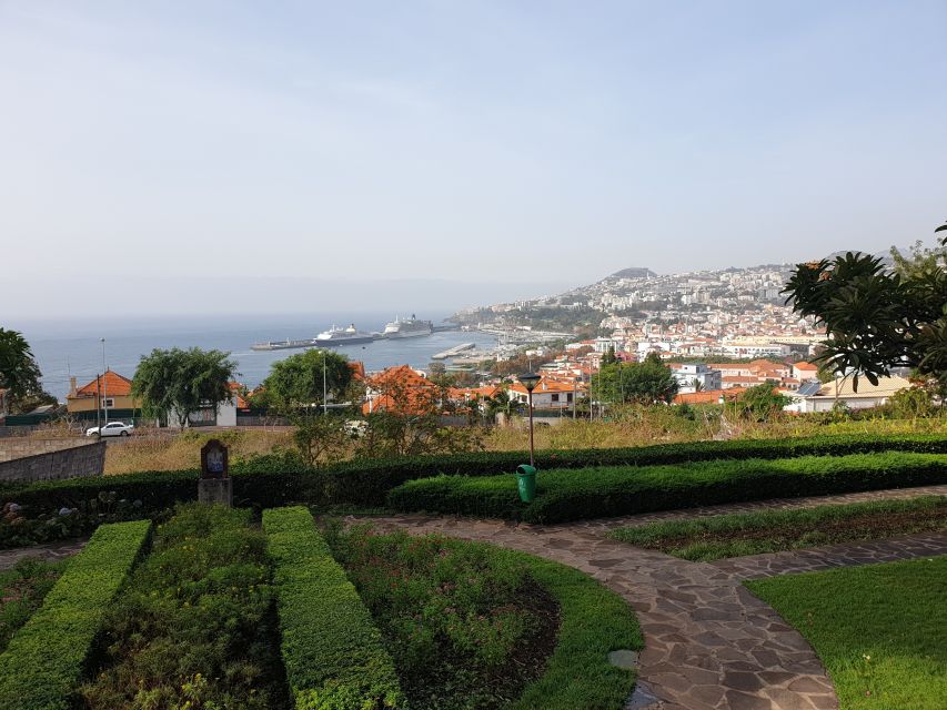 Funchal: Guided City Tuk-Tuk Tour - Group Size: Why Private Feels Better Here