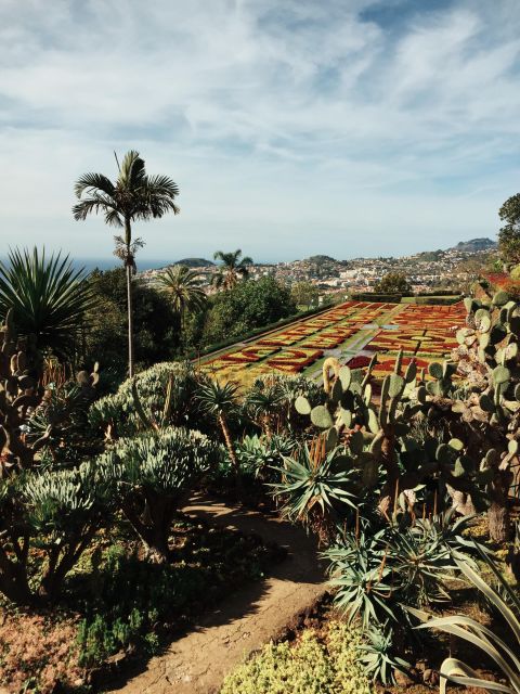 Funchal: Guided Old Town Tuk Tuk Tour and Botanical Gardens - Botanical Gardens at 35,000 Square Meters: More Than a Flower Walk