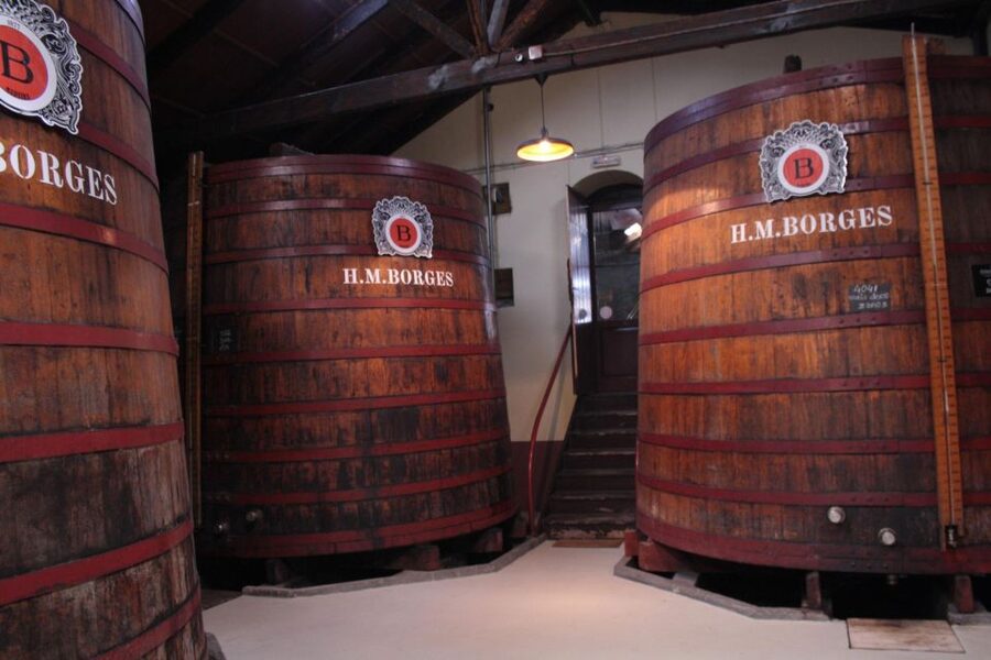 Funchal: H.M. Borges Winery Guided Tour with Wine Tasting - Pace, comfort, and practical logistics in real life